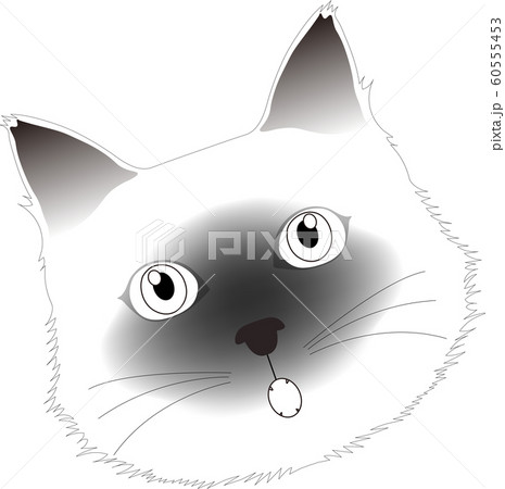 モノトーンのおどろくシャム猫の顔 60555453