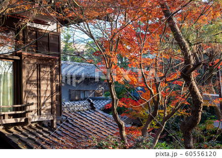 ときわ台駅周辺 ときわ台駅周辺 60556120
