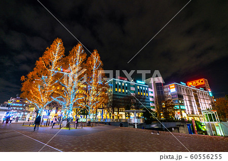 日本の横浜都市景観 地下鉄 センター南駅前などを望む(夜景) 日本の横浜都市景観 地下鉄 センター南駅前などを望む(夜景) 60556255