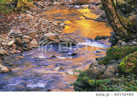 191028せせらぎ紅葉G169 60556489