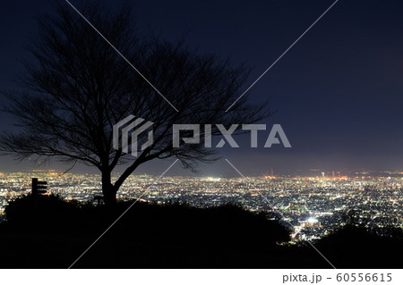 大阪の広大な夜景が鑑賞できる「生駒山ぼくらの広場」 大阪の広大な夜景が鑑賞できる「生駒山ぼくらの広場」 60556615