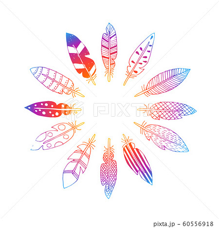 vector drawing feathers in circle 60556918