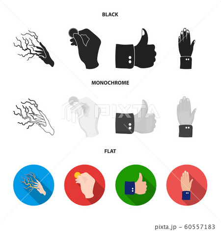 Vector illustration of animated and thumb logo. Set of animated and gesture stock symbol for web. 60557183