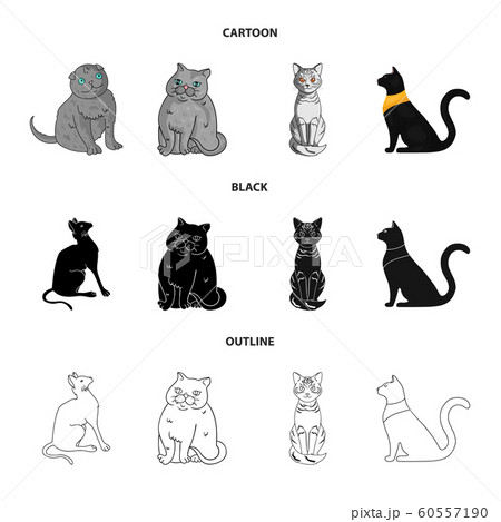 Vector design of pet and sphynx sign. Set of pet and fun stock symbol for web. 60557190