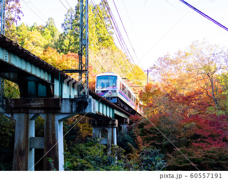 京都紅葉 電車 京都紅葉 電車 60557191