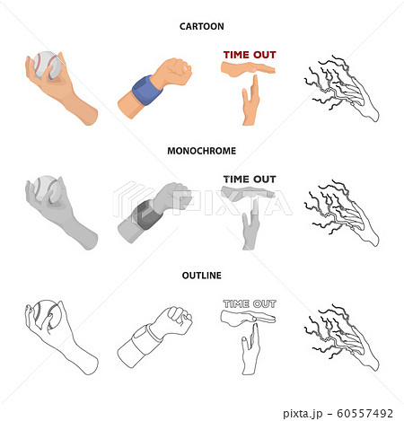 Isolated object of animated and thumb icon. Collection of animated and gesture vector icon for stock. 60557492