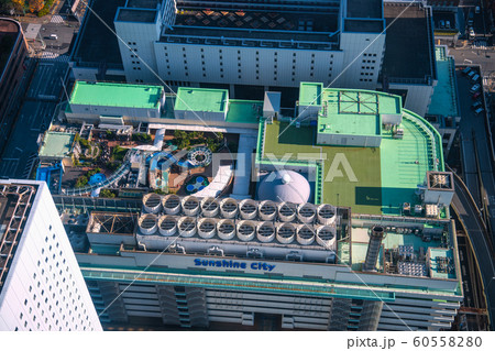 日本の東京都市景観　サンシャインシティなどを望む 60558280