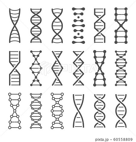 DNA spiral icon. Human genetics code, genom model and bio laboratory string spirals vector icons set DNA spiral icon. Human genetics code, genom model and bio laboratory string spirals vector icons set 60558809