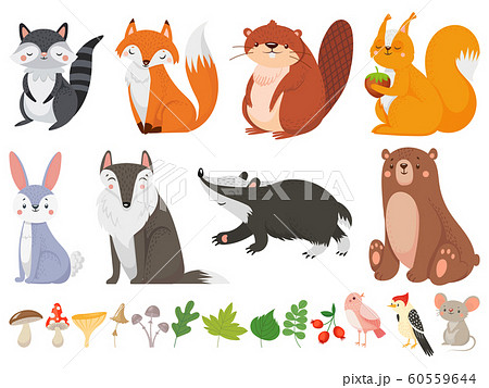 Funny wood animals. Wild forest animal, happy woodland fox and cute squirrel vector cartoon illustration set Funny wood animals. Wild forest animal, happy woodland fox and cute squirrel vector cartoon illustration set 60559644