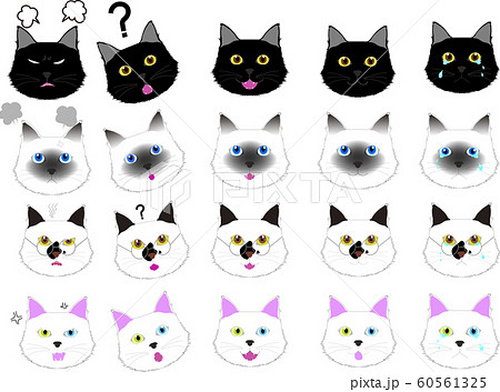白猫 黒猫 ノラ猫 シャム猫 喜怒哀楽 表情 Black Cat White Siamese のイラスト素材