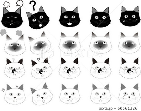 Six Cats Faces Emotion Icon Pack Stock Vector - Illustration of human,  animals: 82929441