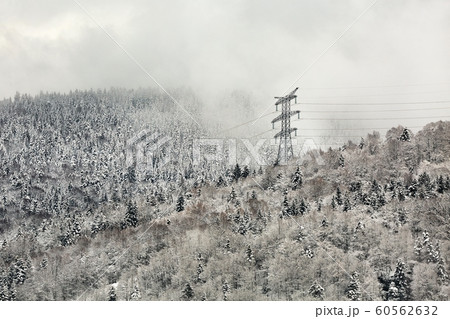 Electric power lines in snow Electric power lines in snow 60562632