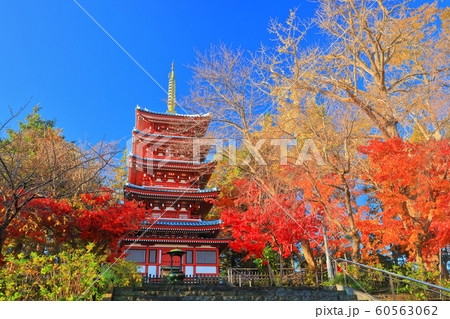 【千葉県】紅葉の本土寺 五重塔 【千葉県】紅葉の本土寺 五重塔 60563062