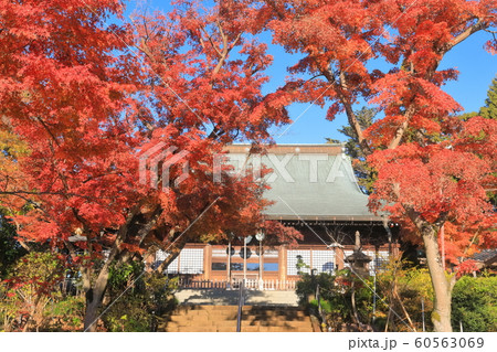 【千葉県】紅葉の本土寺　本堂 60563069