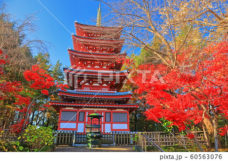 【千葉県】紅葉の本土寺　五重塔 60563076