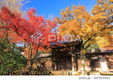 【千葉県】紅葉の本土寺 【千葉県】紅葉の本土寺 60563081