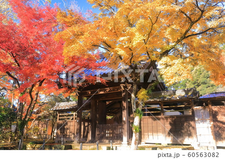 【千葉県】紅葉の本土寺 60563082