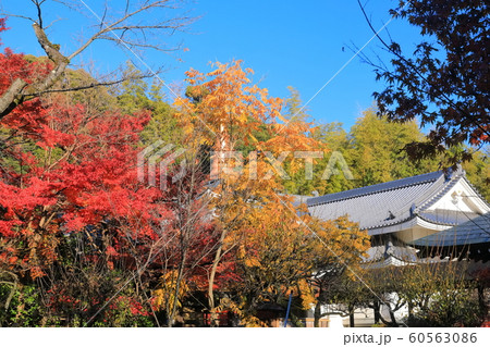 【千葉県】紅葉の本土寺　宝物殿 60563086