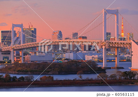 【東京都】お台場から見たレインボーブリッジの夕景 60563115