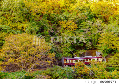 わたらせ渓谷鉄道 わたらせ渓谷鉄道 60566573