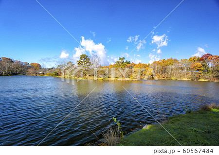 紅葉の塩沢湖 紅葉の塩沢湖 60567484