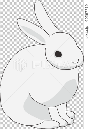 Rabbit Rabbit 60567719