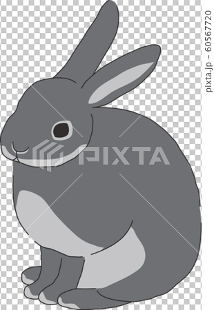 Rabbit Rabbit 60567720