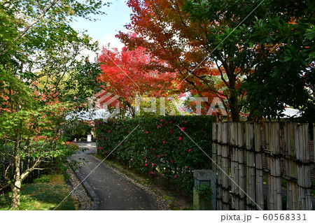 秋の丈山苑　詩泉閣 60568331