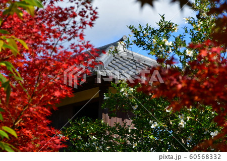 秋の丈山苑　詩泉閣 60568332