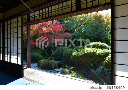 秋の丈山苑　詩泉閣 60568409