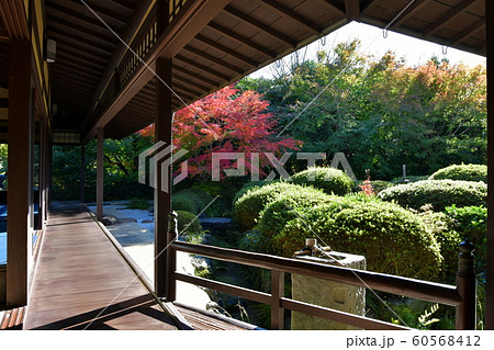 秋の丈山苑　詩泉閣 60568412