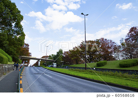 東京都道413号赤坂杉並線 代々木公園周辺 東京都道413号赤坂杉並線 代々木公園周辺 60568616