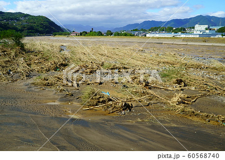 2019年台風19号 千曲川氾濫被害 2019年台風19号 千曲川氾濫被害 60568740