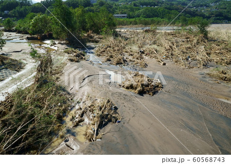 2019年台風19号 千曲川氾濫被害 60568743