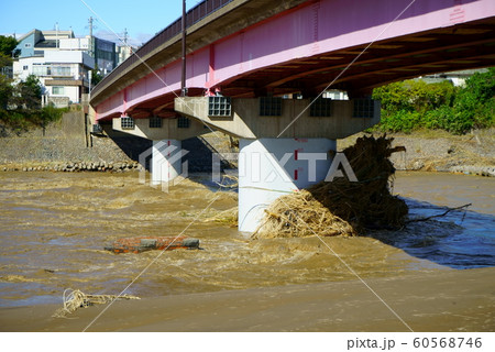 2019年台風19号 千曲川氾濫被害 60568746