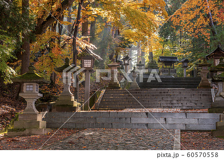 191112神社参道G004 191112神社参道G004 60570558