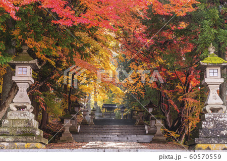 191112神社参道G002 191112神社参道G002 60570559
