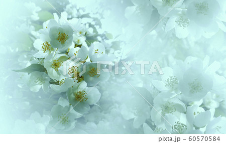 Soft light turquoise floral background. Flowers Soft light turquoise floral background. Flowers 60570584