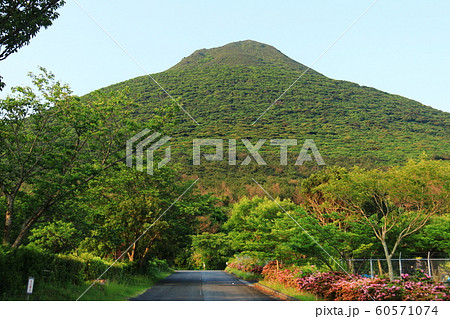 朝の開聞岳　かいもん山麓ふれあい公園　二合目登山口より 60571074