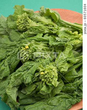 菜花 菜花 60571604