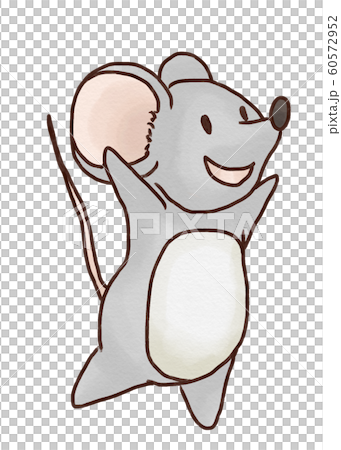 mouse mouse 60572952