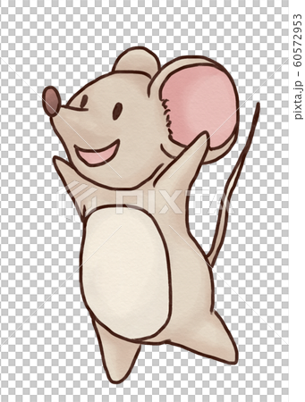 mouse   60572953