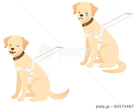 盲導犬のイラスト表情2種セット 笑顔 悲しむ のイラスト素材