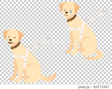盲導犬のイラスト表情2種セット 笑顔 悲しむ のイラスト素材