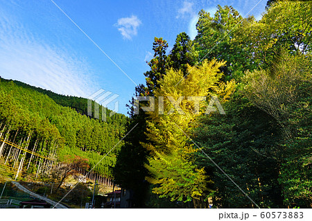 奈良県 天河神社 奈良県 天河神社 60573883