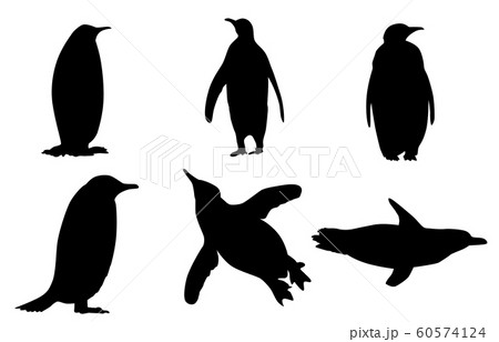 動物シルエット海 川ペンギンのイラスト素材