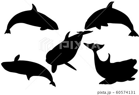 動物シルエット海 川シャチのイラスト素材