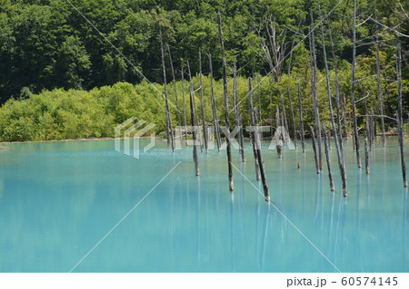 青い池 60574145