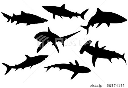 動物シルエット海 川サメのイラスト素材