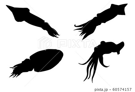 cuttlefish silhouette